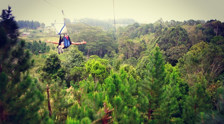 Macahambus Adventure Park